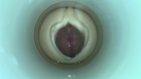 HD видео, большой член (гей), любитель (гей), маленький член (гей), мастурбация (гей), секс-игрушка (гей)