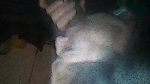 HD видео, бразильский, итальянский, колумбийка, минет, пришелец