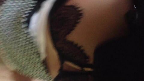 HD видео, мужчина (гей)